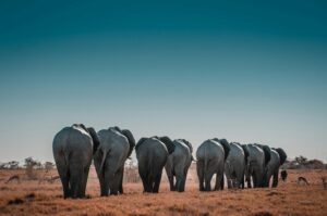 esim_providers_namibia