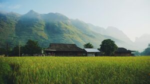 esim_providers_vietnam